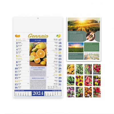 Calendario illustrato mensile Frutta e Verdura